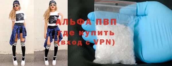 твердый Бородино