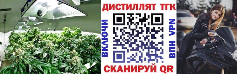 ТГК концентрат  Карасук 